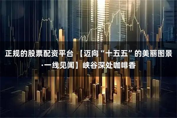 正规的股票配资平台 【迈向“十五五”的美丽图景·一线见闻】峡谷深处咖啡香